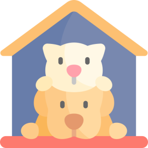 animal-shelter